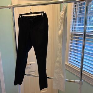 The Limited Zebra Collection Pants Set